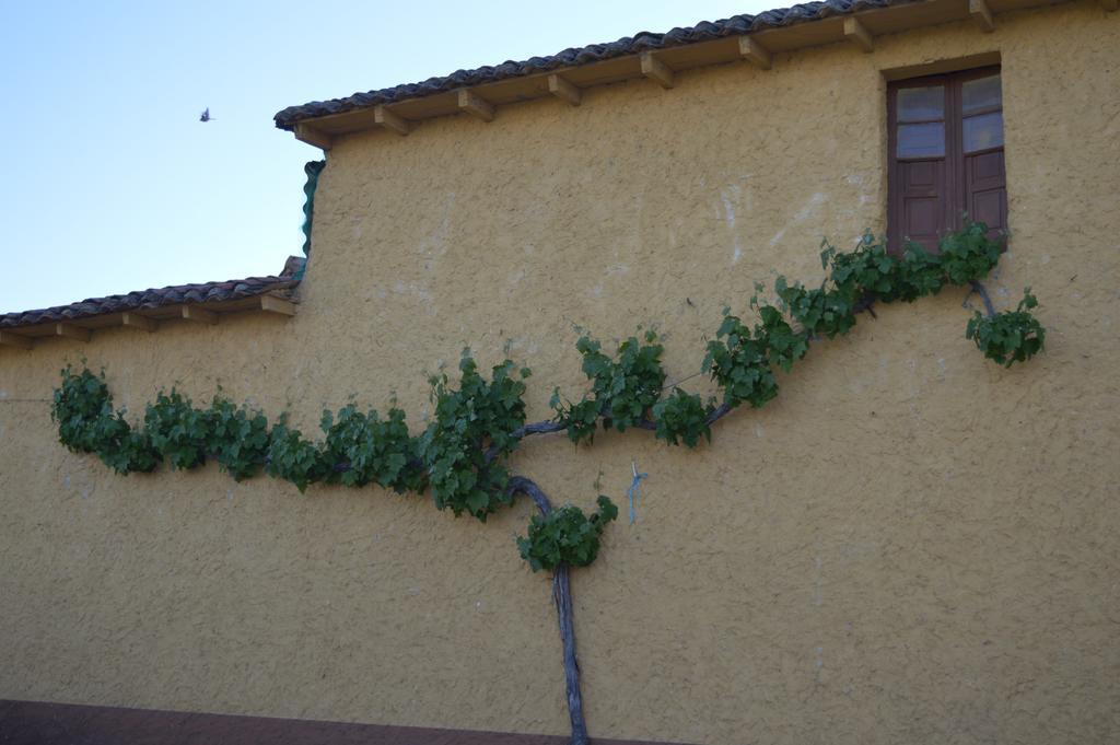 Casa Rural Los Llaganos Villaturiel Eksteriør bilde